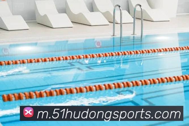 球赛投注平台生态图